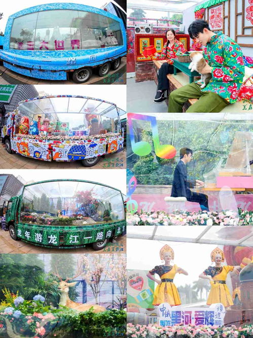 南来北往解暑意，寒来暑往谱新篇——2024年黑龙江省夏季旅游推介会广州启幕