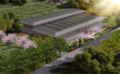 农业创业:植物工厂与康养农业如何发展