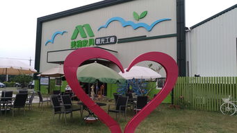 美雅家具观光工厂 一场融合工艺与休闲的独特体验之旅