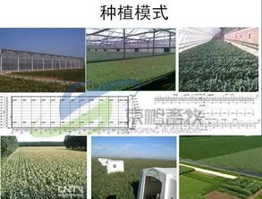 京鹏环宇畜牧薛志友 打造休闲观光生态牧场，从“养好牛”到“享生活”的质变之路