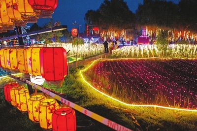 襄汾荷花小镇 夏日荷塘引客来，休闲观光正当时