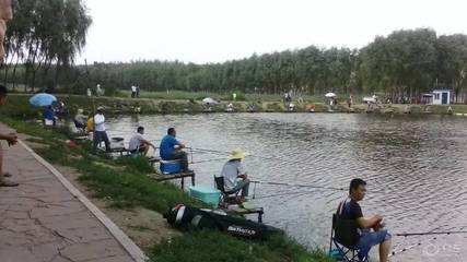 10种不良因素制约休闲农庄发展，若不改进，休闲观光将难以为继