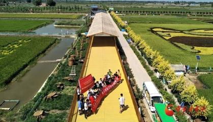 探访塞上江南 贺兰休闲农业精品线路周末邀你共赏