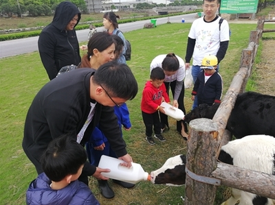 奶牛休闲观光牧场:浙江一景生态牧场